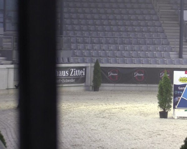 Reitturnier Aachen 2023