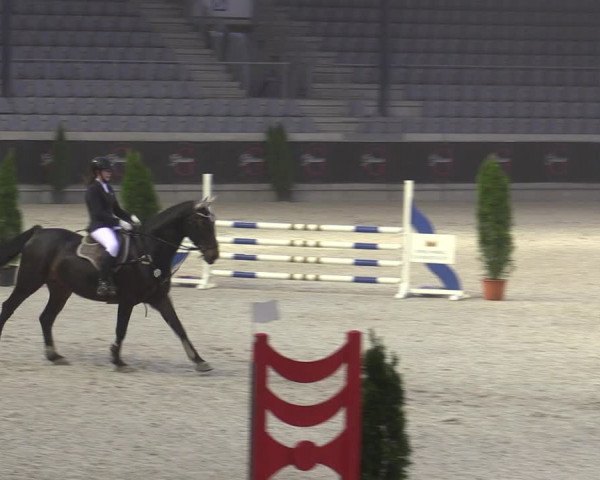 Reitturnier Aachen 2023