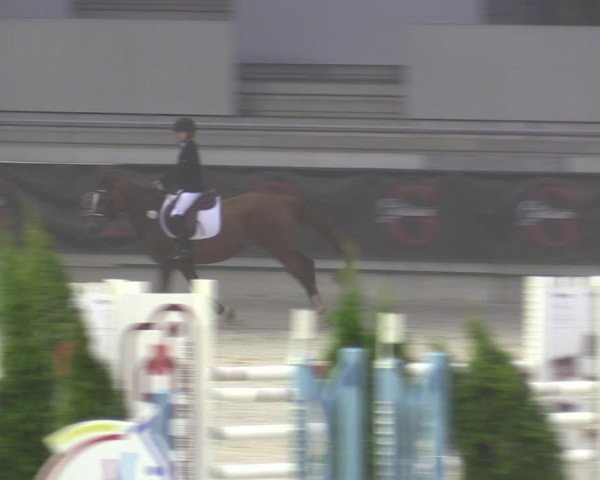 Reitturnier Aachen 2023