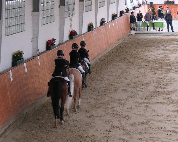 Reitturnier Werne-Lenklar 2023