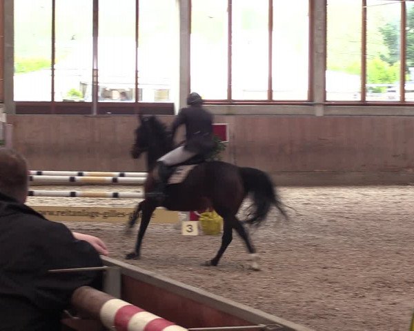 Reitturnier Leverkusen-Rheindorf 2023
