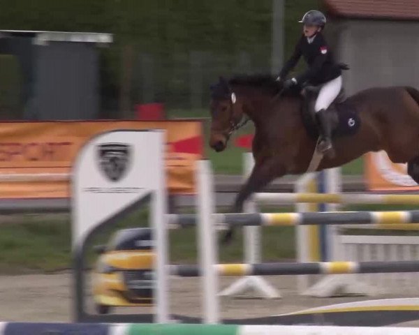 Reitturnier Poxdorf/Ofr 2023