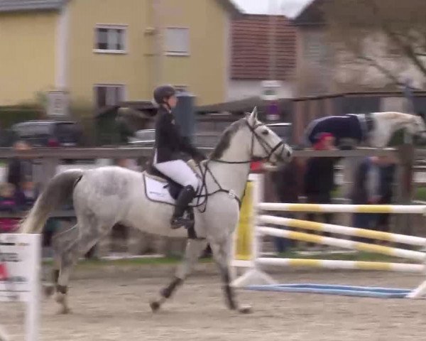 Reitturnier Poxdorf/Ofr 2023