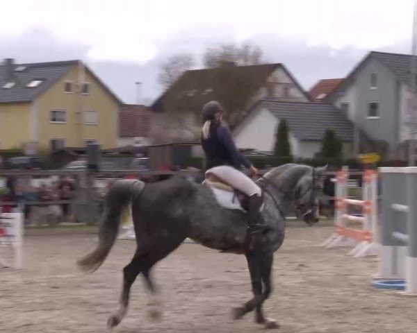 Reitturnier Poxdorf/Ofr 2023
