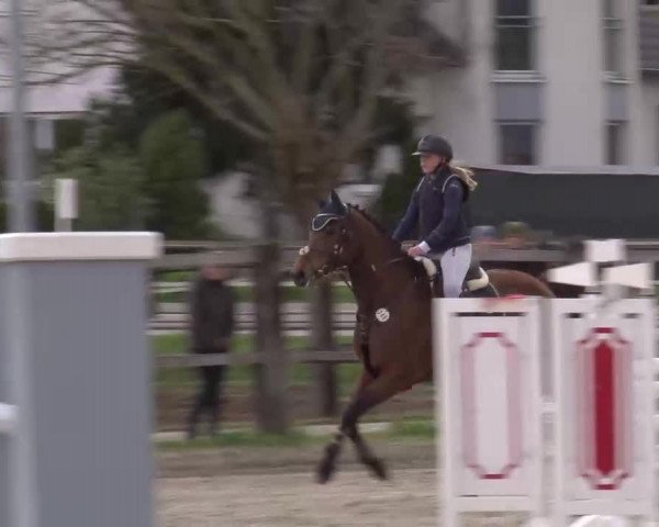Reitturnier Poxdorf/Ofr 2023