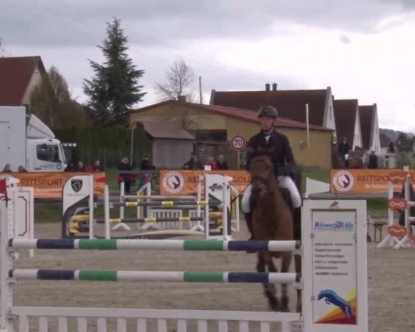 Reitturnier Poxdorf/Ofr 2023