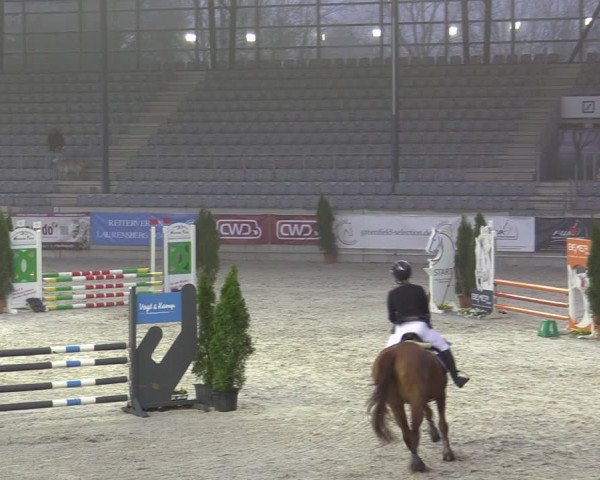 Reitturnier Aachen 2023