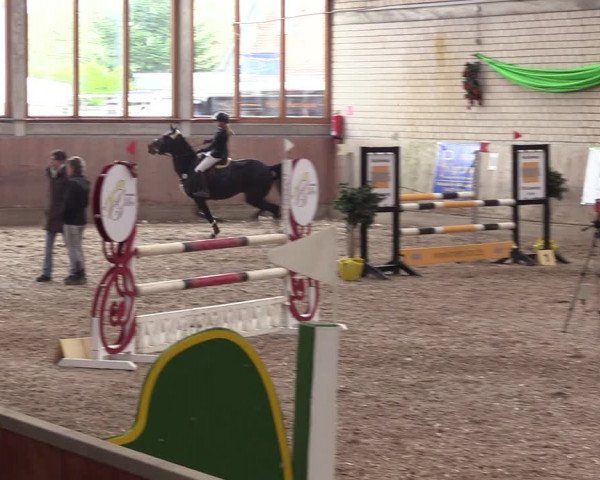 Reitturnier Leverkusen-Rheindorf 2023