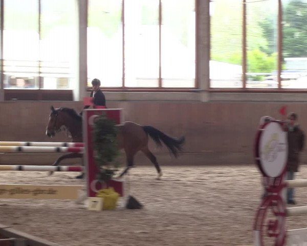 Reitturnier Leverkusen-Rheindorf 2023