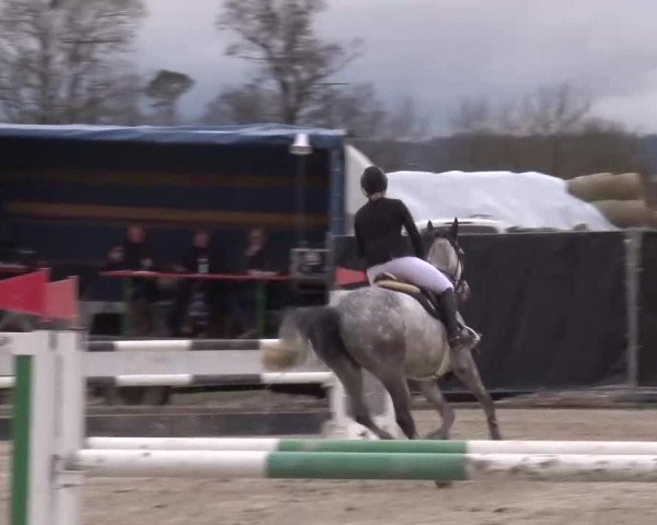 Reitturnier Poxdorf/Ofr 2023