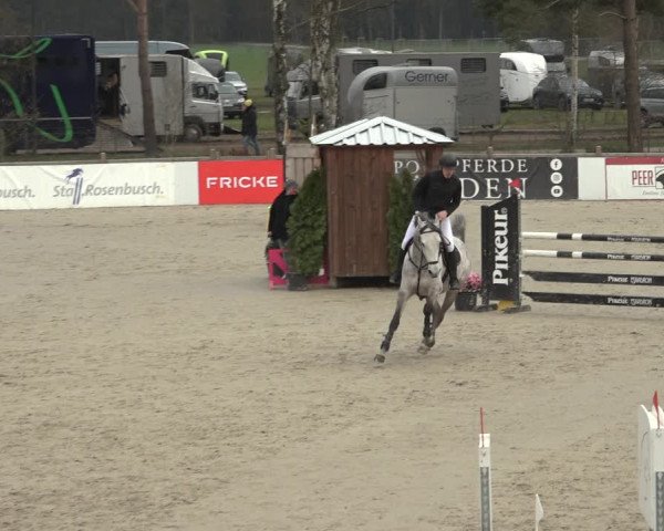 Reitturnier Westergellersen 2023