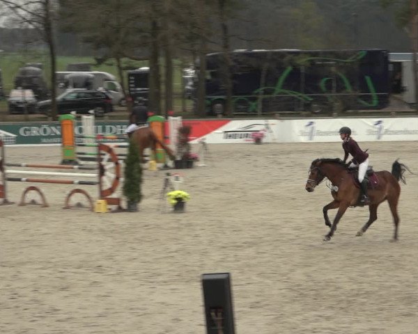 Reitturnier Westergellersen 2023