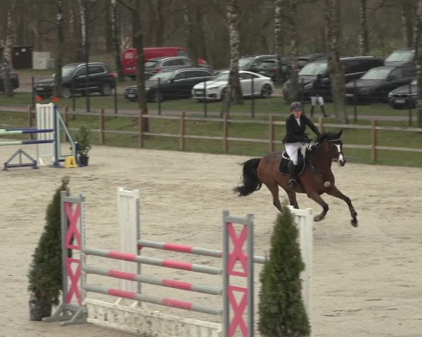 Reitturnier Westergellersen 2023