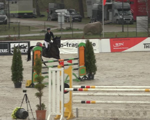 Reitturnier Westergellersen 2023