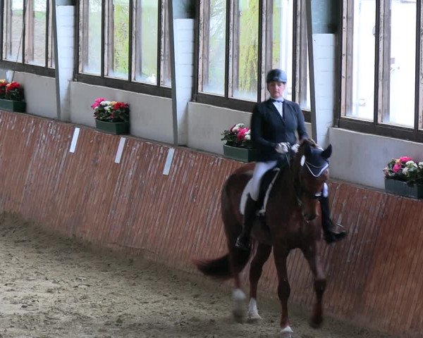 Reitturnier Werne-Lenklar 2023