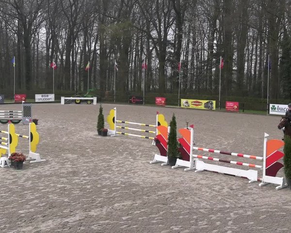 Reitturnier Klein Roscharden 2023