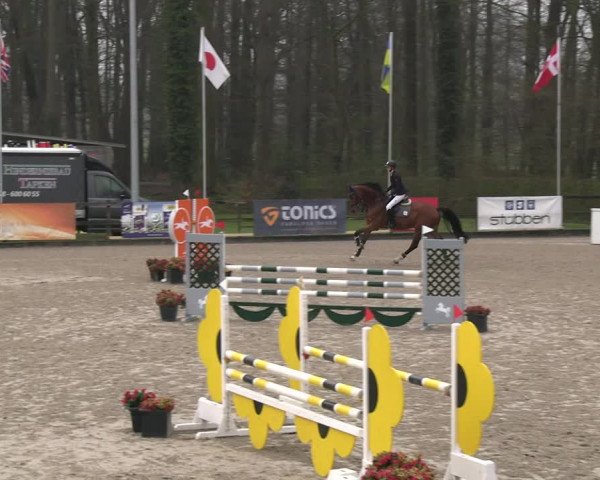 Reitturnier Klein Roscharden 2023