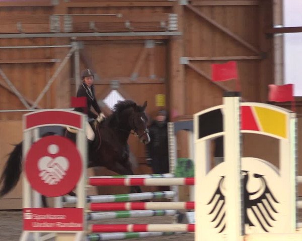 Reitturnier Polzow 2021