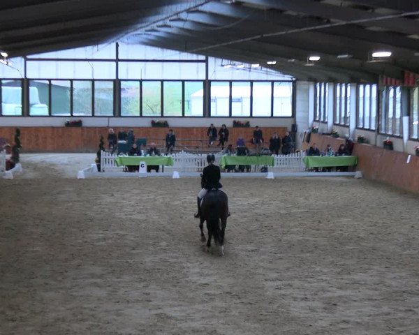 Reitturnier Werne-Lenklar 2023
