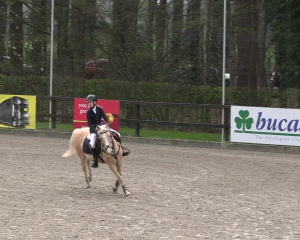 Reitturnier Klein Roscharden 2023
