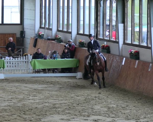 Reitturnier Werne-Lenklar 2023