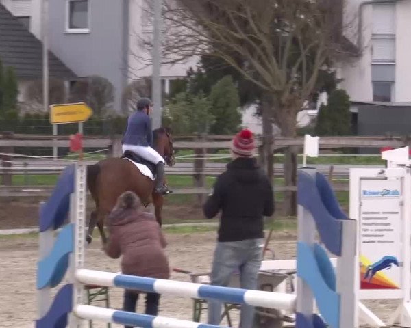 Reitturnier Poxdorf/Ofr 2023