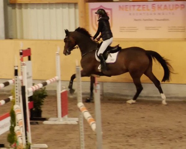 Reitturnier Herrenberg 2023