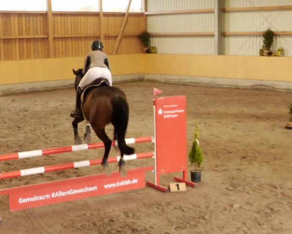 Reitturnier Herrenberg 2023