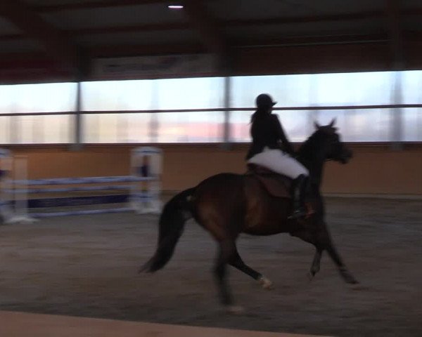 Reitturnier Polzow 2021
