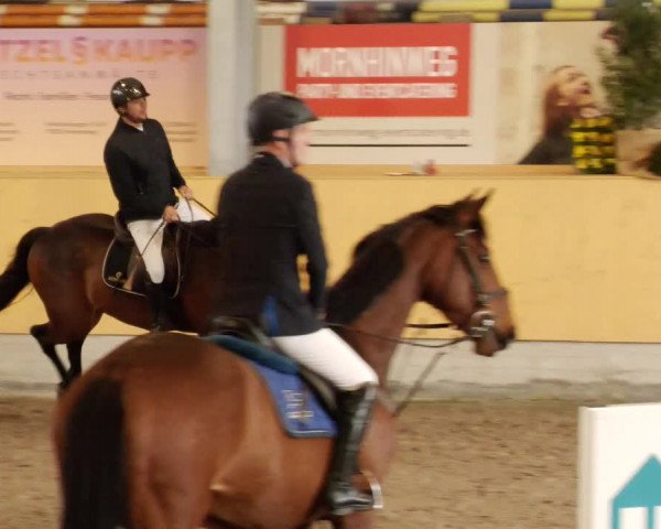 Reitturnier Herrenberg 2023