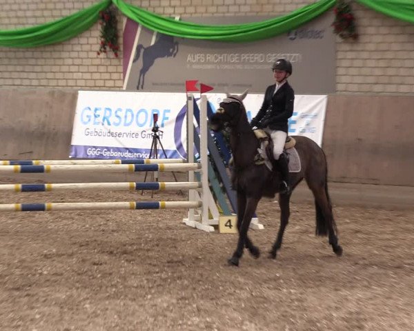 Reitturnier Leverkusen-Rheindorf 2023