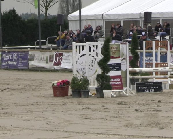 Reitturnier Werne-Lenklar 2023