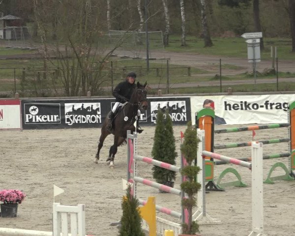 Reitturnier Westergellersen 2023