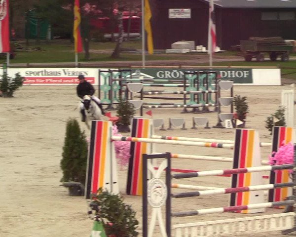 Reitturnier Westergellersen 2023