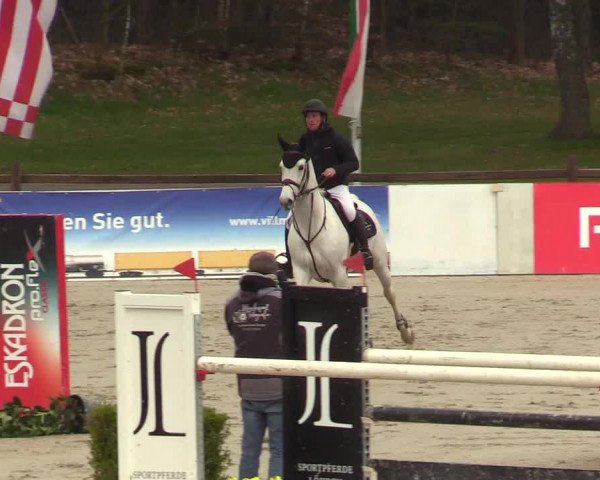 Reitturnier Westergellersen 2023