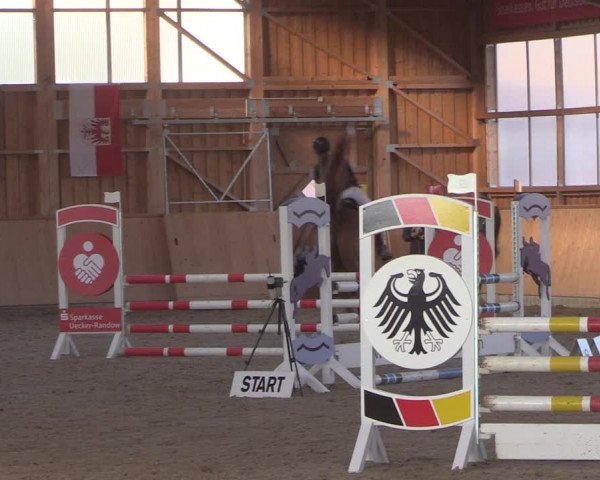 Reitturnier Polzow 2021