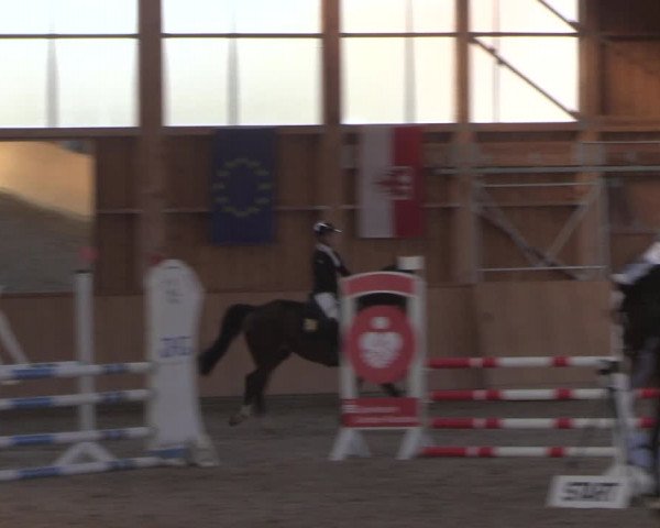 Reitturnier Polzow 2021