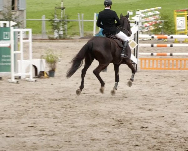 Reitturnier Herrenberg 2023