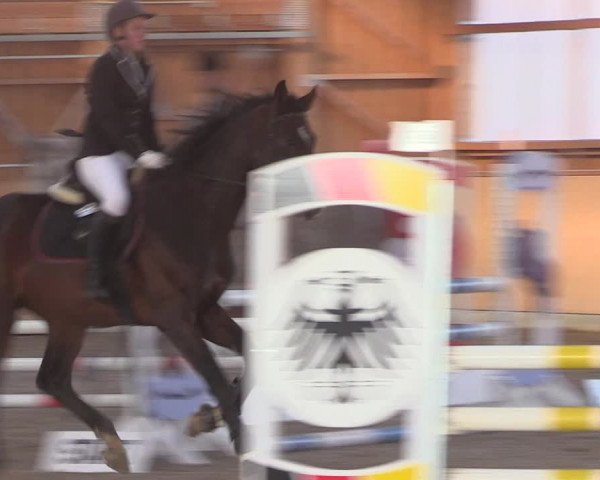 Reitturnier Polzow 2021