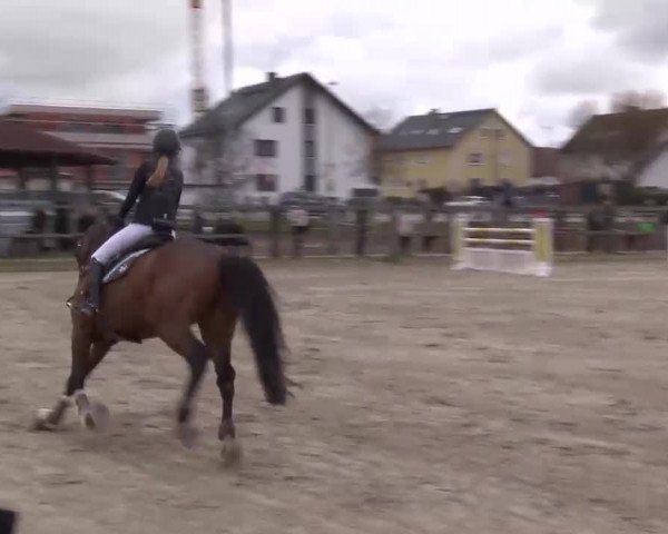 Reitturnier Poxdorf/Ofr 2023