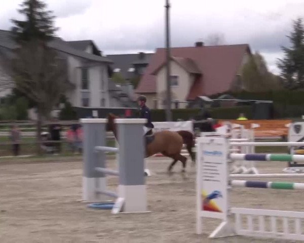 Reitturnier Poxdorf/Ofr 2023
