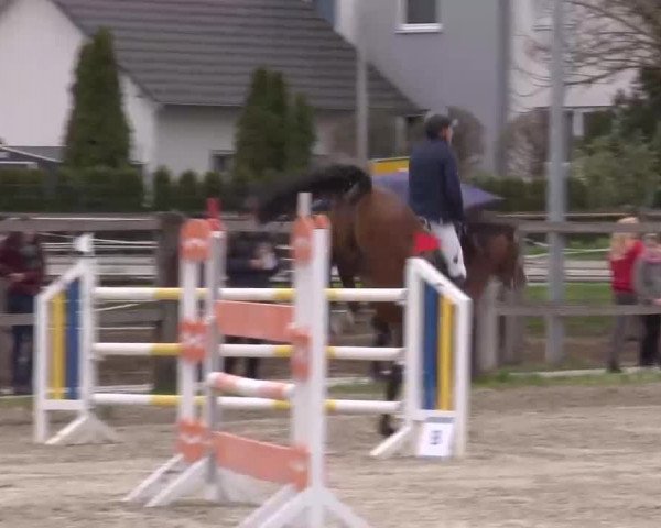 Reitturnier Poxdorf/Ofr 2023