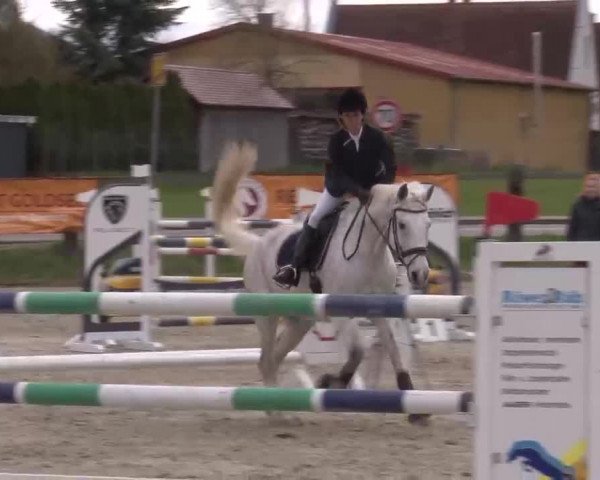 Reitturnier Poxdorf/Ofr 2023