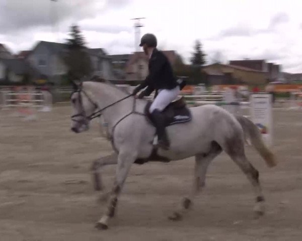 Reitturnier Poxdorf/Ofr 2023
