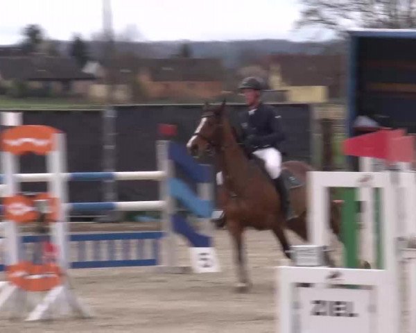 Reitturnier Poxdorf/Ofr 2023