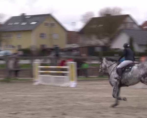 Reitturnier Poxdorf/Ofr 2023