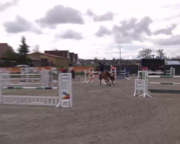 Reitturnier Poxdorf/Ofr 2023