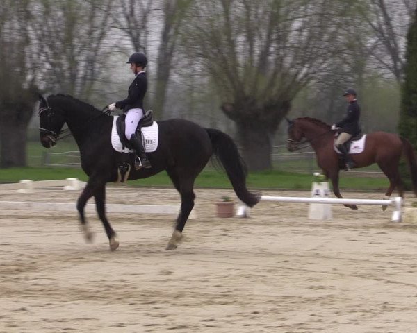 Reitturnier Wutzetz 2023