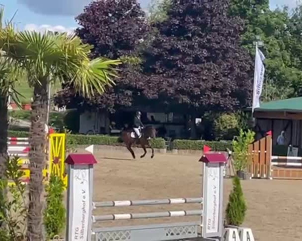 Video of Little Quini H