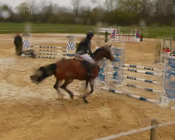 Reitturnier Wutzetz 2023